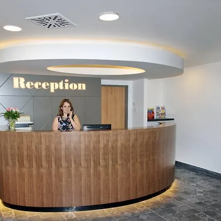 Hotel Ring 3*